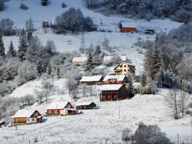 Karla kaplı ağaçlarla kaplı güzel kış manzarası