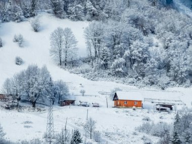 Ormanda karla kaplı bir evin dikey görüntüsü.