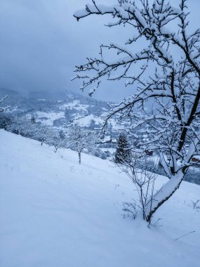 Karla kaplı ağaçlar ve dağlarla kaplı kış manzarası
