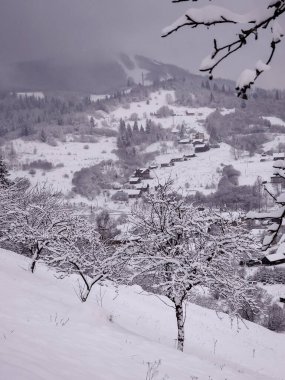 Kar ve ağaçlarla kaplı kış manzarası