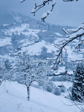 İsviçre 'de karla kaplı dağ ağaçları manzarası