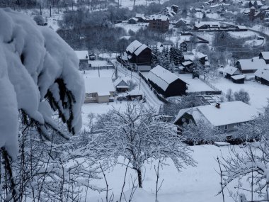 Karla kaplı ağaçlarla kaplı kış manzarası