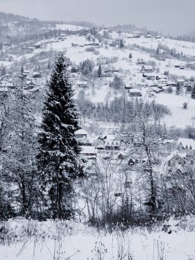 Karla kaplı ağaçlarla kaplı kış manzarası