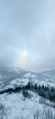 Ağaçlar ve karla kaplı kış manzarası