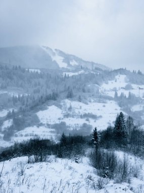 Dağlarda karla kaplı ağaçlarla kaplı kış manzarası.