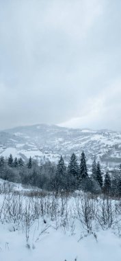 Karlı ve ağaçlı güzel bir manzara.
