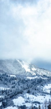 Karla kaplı ağaçlarla kaplı güzel kış manzarası