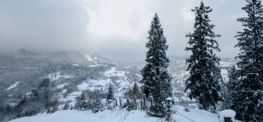 Kış dağı manzarası. Bulutlu bir günde ormandaki karla kaplı ağaçlar.