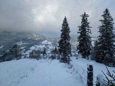 Karpatya dağlarında kış