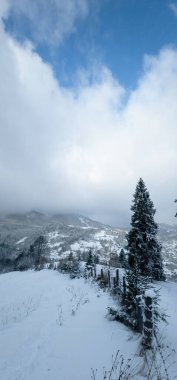 Kar ve dağlarla kaplı kış manzarası