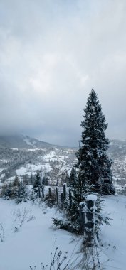 Karlı kış orman Karpat Dağları'nda