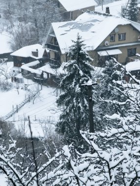 Tahta evi olan kış manzarası