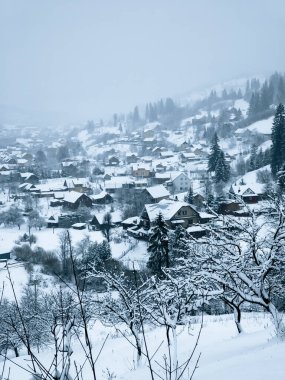 Kışın karla kaplı köy