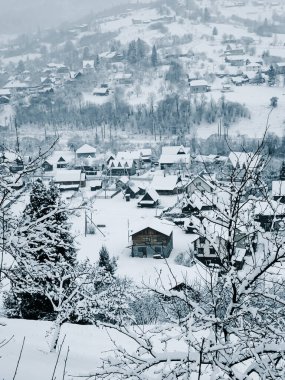 Karla kaplı ağaçlarla kaplı kış manzarası