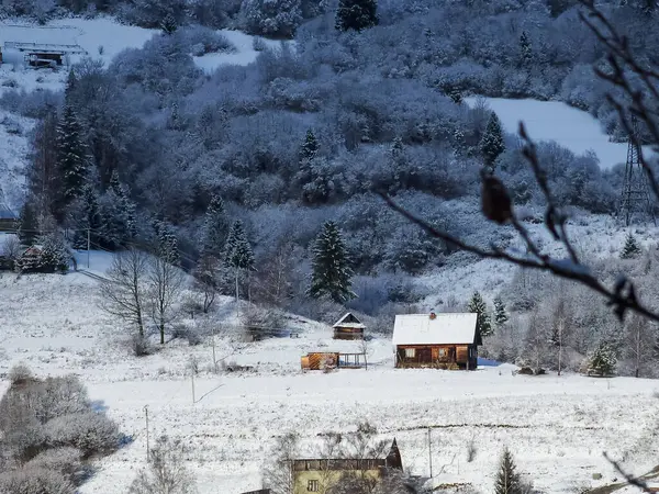 Kış dağ manzarası, dağlarda karla kaplı ormanların güzel manzarası, Avusturalya