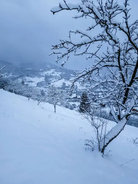 Karla kaplı ağaçlar ve dağlarla kaplı kış manzarası