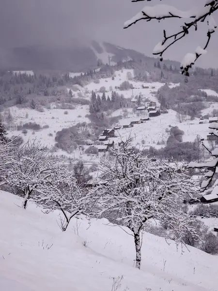 Kar ve ağaçlarla kaplı kış manzarası