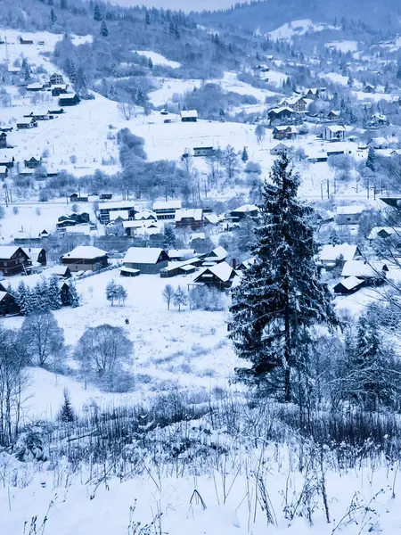 Karpat Dağları 'ndaki kış manzarası, Ukrayna.