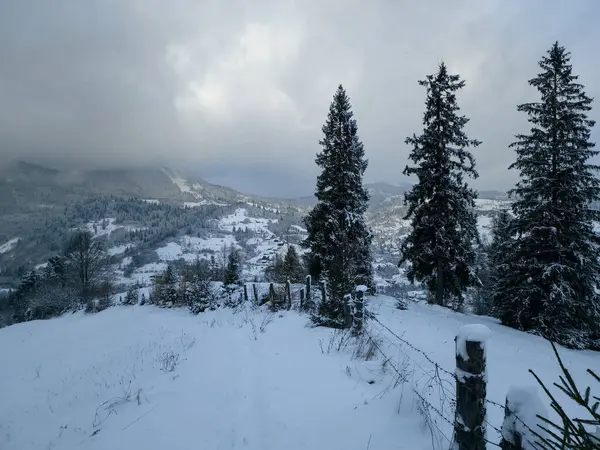 Karpatya dağlarında kış