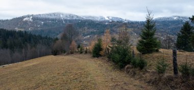 Sonbaharda dağlarda güzel bir orman görüntüsü.