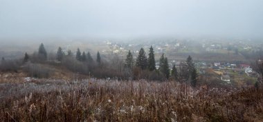 Sis ve ormanla kaplı kış manzarası