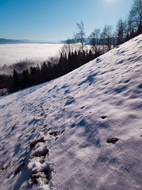 Romanya, Avrupa 'daki Karpat Dağları' ndaki kış manzarası.