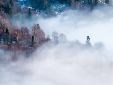 Alplerin kış manzarası