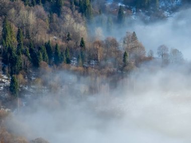Karpatya dağlarında kış