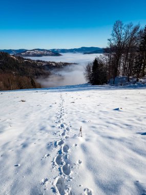 Kış manzarası, karla kaplı dağ sıraları ve uzak bir patika.
