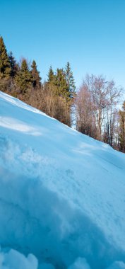 Karlı güzel kış manzarası