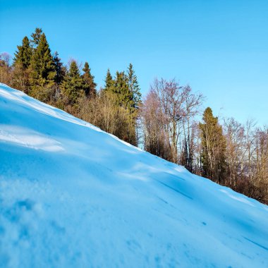 Kış mevsiminde karla kaplı bir dağ yamacında