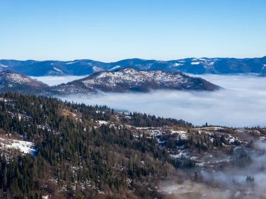 Güzel kış manzarası karla kaplı ağaçlar