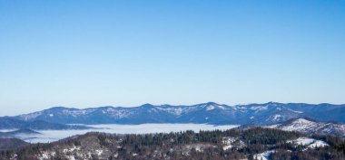 Karla kaplı ağaçlarla kaplı güzel kış manzarası