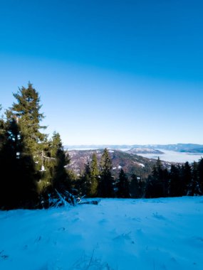 Karla kaplı ağaçlarla kaplı kış manzarası