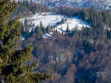 Karlı dağların güzel manzarası.