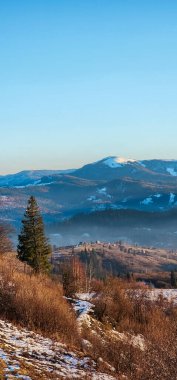 Karlı ve ağaçlı güzel bir manzara.