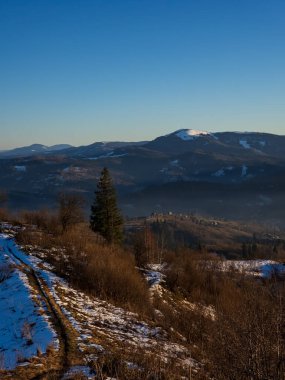 Karpatya dağlarında kış. Kar - ağaçlarla kaplı, Ukrayna Karpatlarının zirveleri.