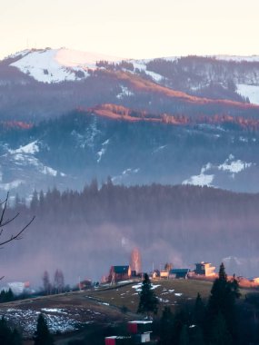 Kar ve ağaçlarla dolu güzel kış manzarası