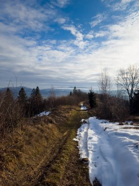 Güneşli bir günde ormanın içinden geçen bir yol ve ağaçlarla dolu bir manzara..