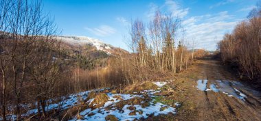 Ormanın içinden geçen güzel bir yol görüntüsü