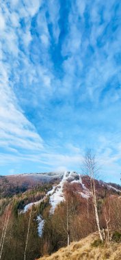 Kış manzarası karla kaplı ağaçlar