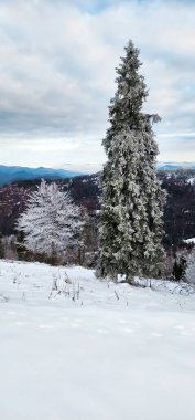 Dağlarda kış manzarası