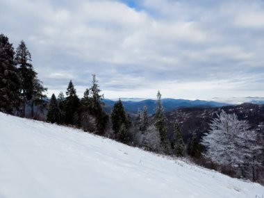 Karla kaplı ağaçlarla kaplı kış manzarası