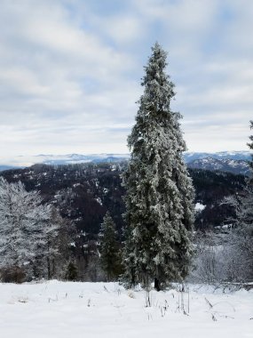 Dağlarda kış manzarası