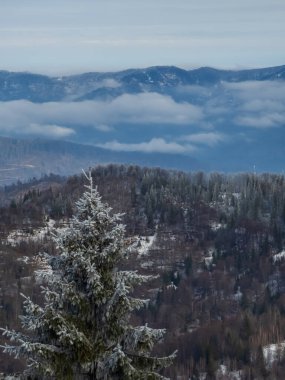 Karlı tepelerin güzel manzarası