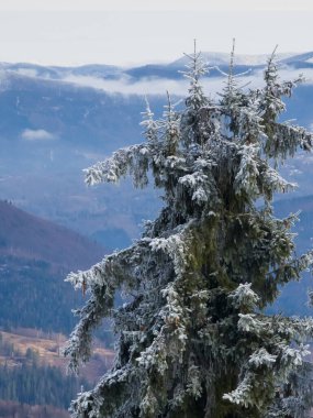 Dağların güzel manzarası
