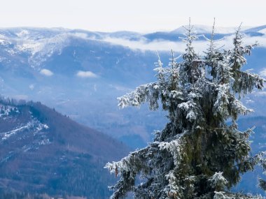 Dağlarda kış manzarası