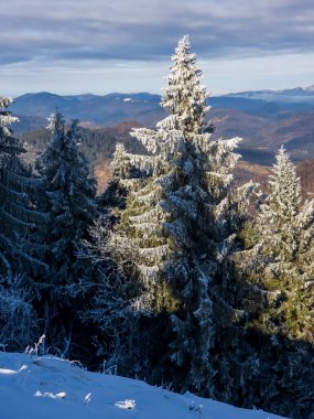 Günbatımında, İspanya 'nın Vitosha Dağı' ndaki kış manzarası.
