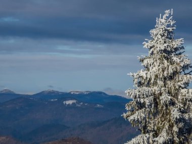 Kışın karlı dağ manzarası