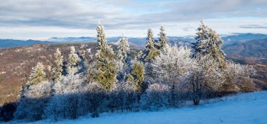 kar, Ukrayna kışında dağ zirvelerini kapladı